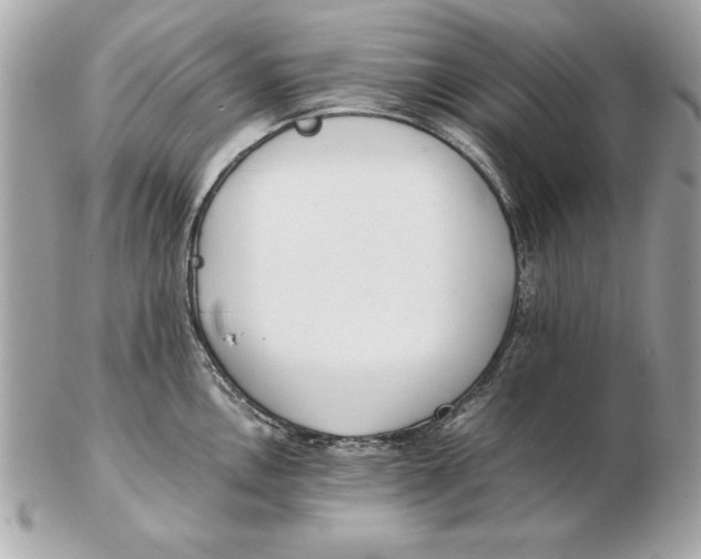 X0000102471146200808291558