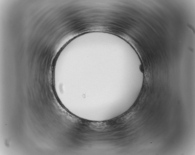X0000102471147200808291558