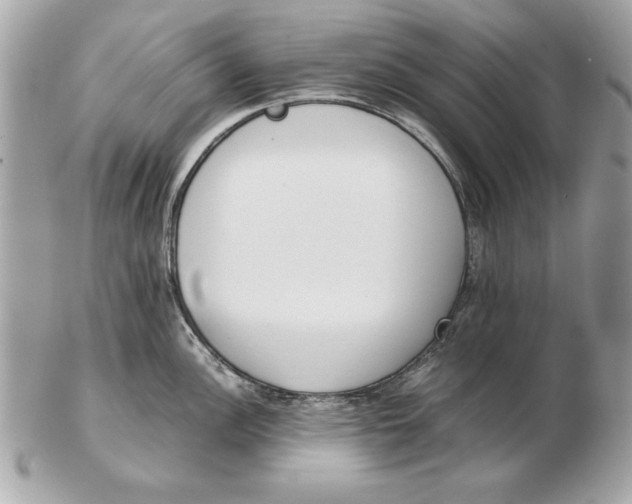 X0000102471148200808291558