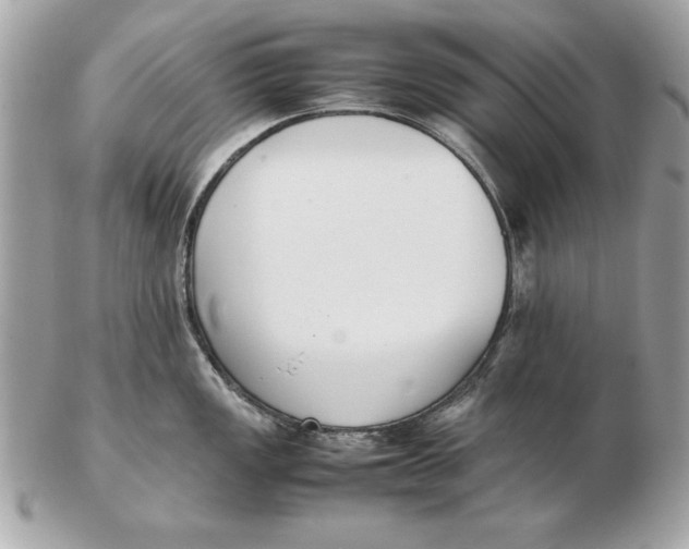 X0000102471149200808291558