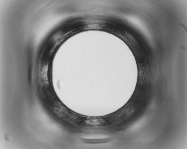 X0000102471150200808291558