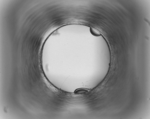 X0000102471152200808291558