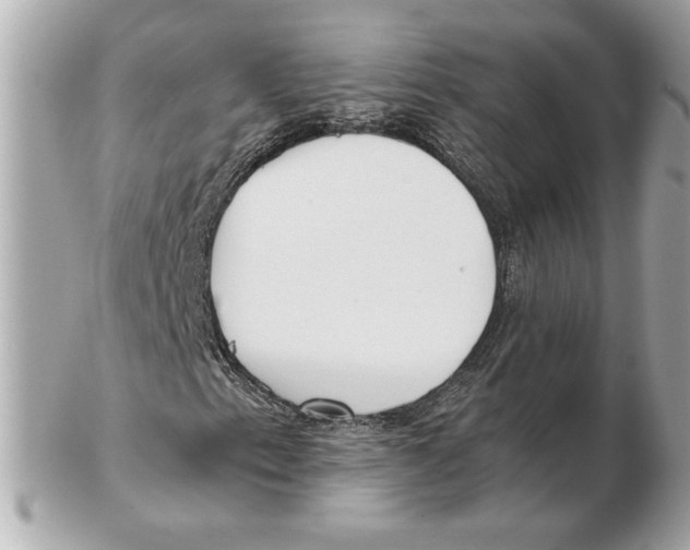 X0000102471153200808291558