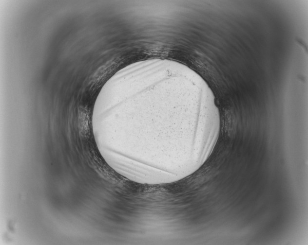 X0000102471154200808291558