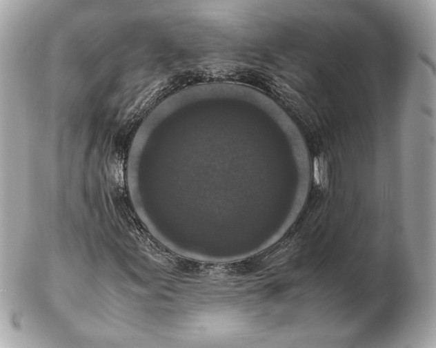 X0000102471155200808291558
