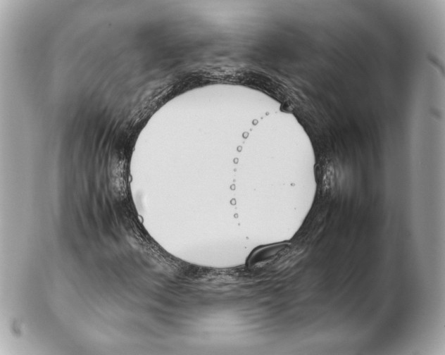 X0000102471156200808291558