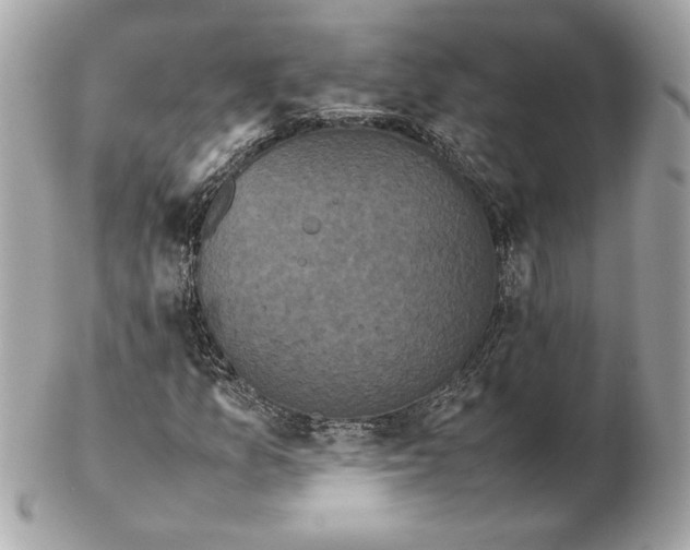X0000102471157200808291558