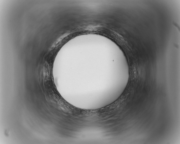 X0000102471158200808291558