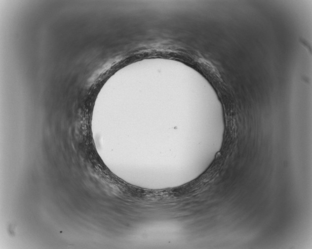 X0000102471159200808291558