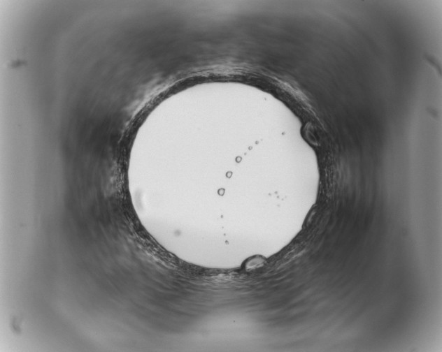 X0000102471160200808291558