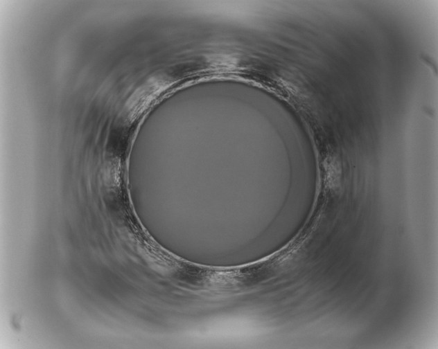 X0000102471161200808291557