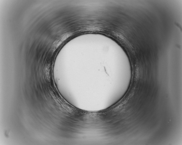X0000102471162200808291557