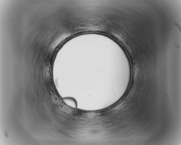 X0000102471163200808291557