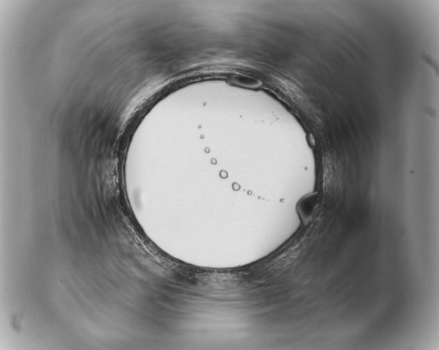 X0000102471164200808291557