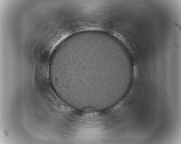 X0000102471165200808291557