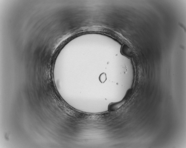 X0000102471166200808291557