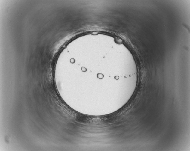 X0000102471167200808291557