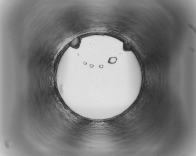 X0000102471168200808291557