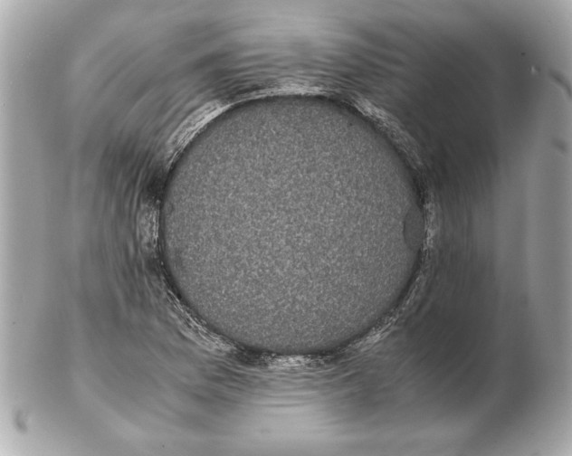 X0000102471169200808291557