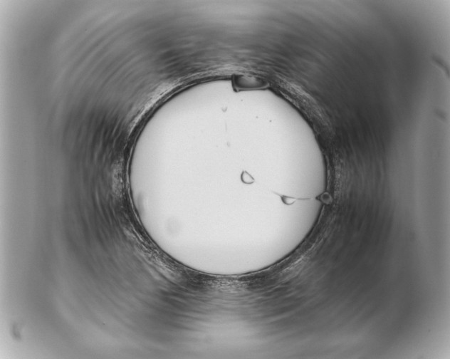 X0000102471170200808291557