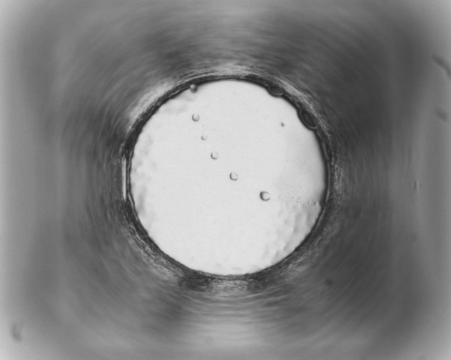 X0000102471171200808291557