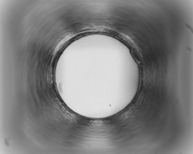 X0000102471172200808291557