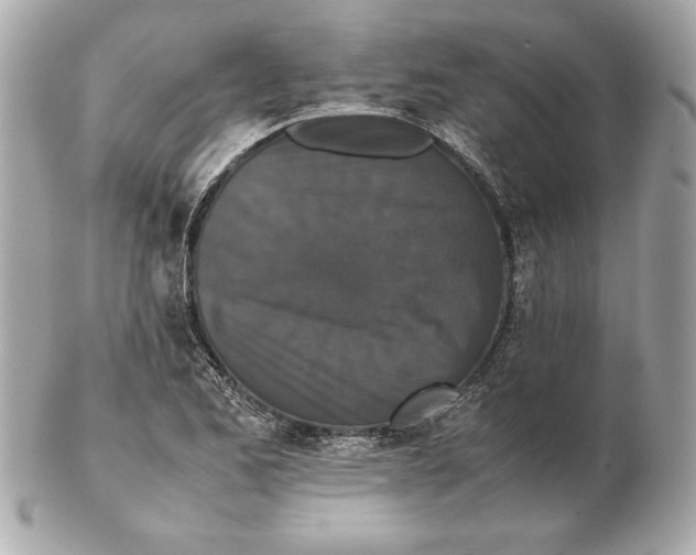 X0000102471173200808291557