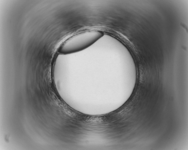 X0000102471174200808291557