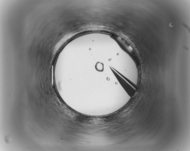 X0000102471175200808291557