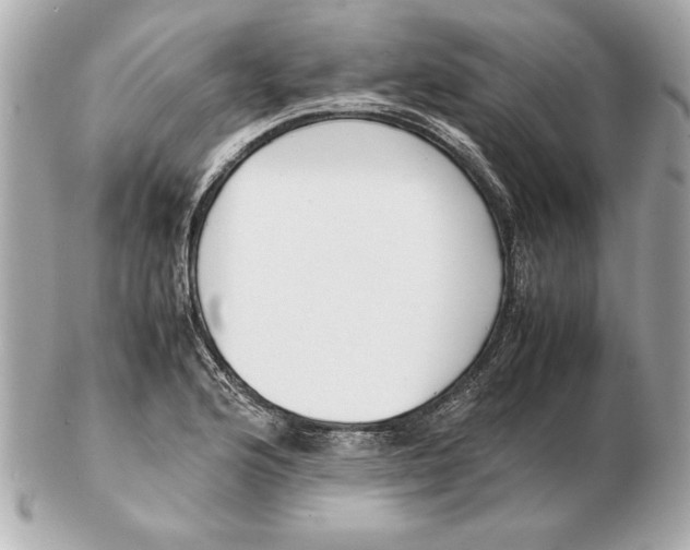 X0000102471176200808291557
