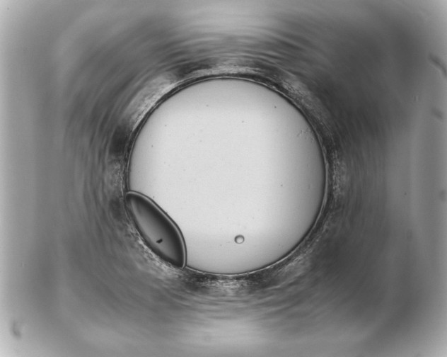 X0000102471177200808291557