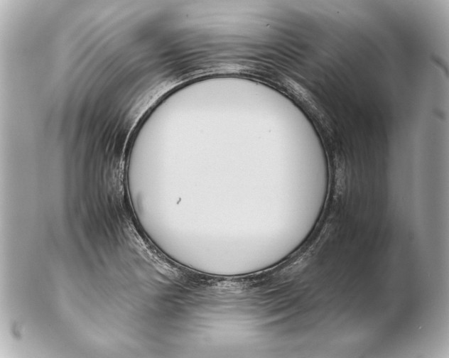 X0000102471178200808291557