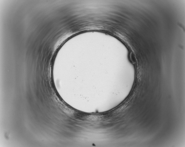 X0000102471179200808291557
