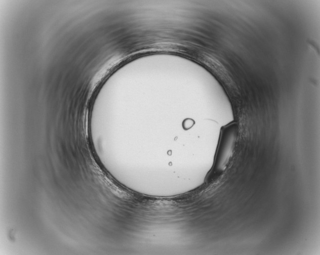 X0000102471180200808291557