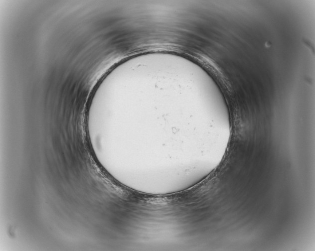 X0000102471182200808291557