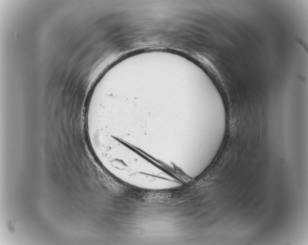 X0000102471183200808291557