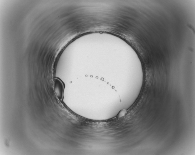 X0000102471184200808291557
