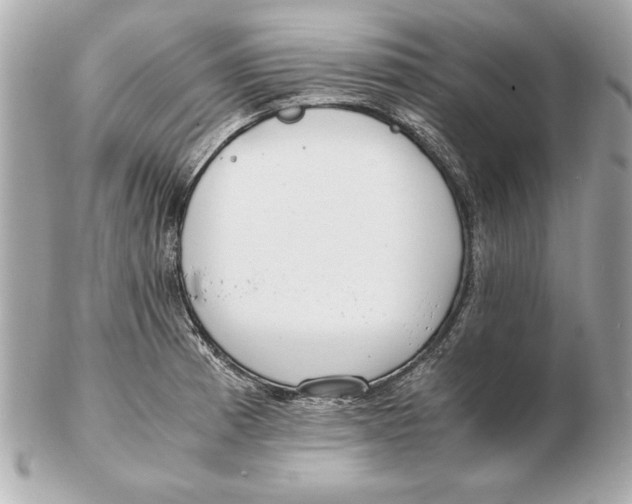 X0000102471185200808291557