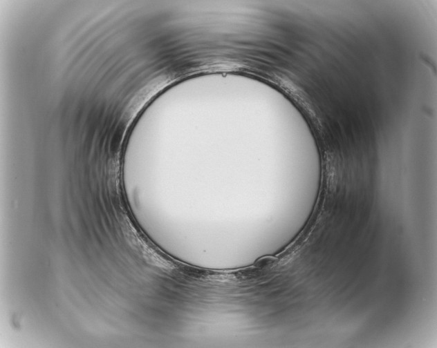 X0000102471186200808291557