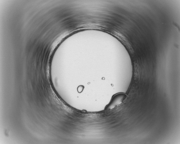 X0000102471188200808291557