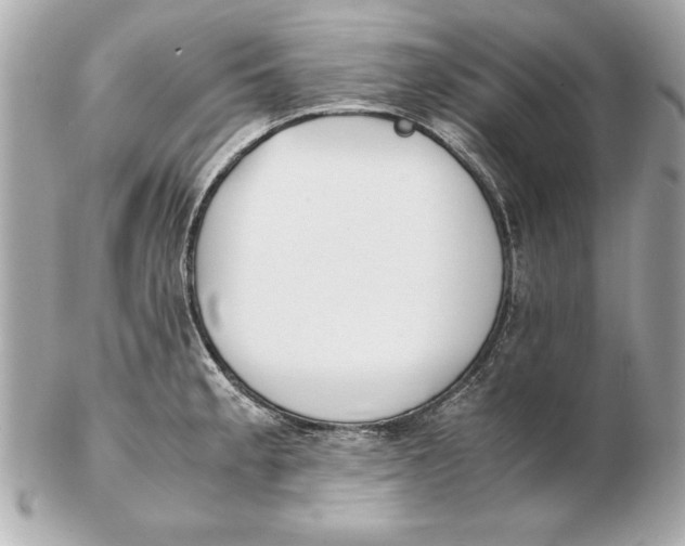 X0000102471189200808291557