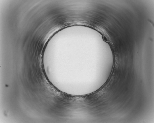 X0000102471190200808291557