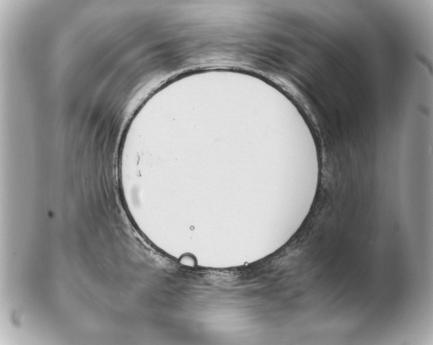 X0000102471191200808291557