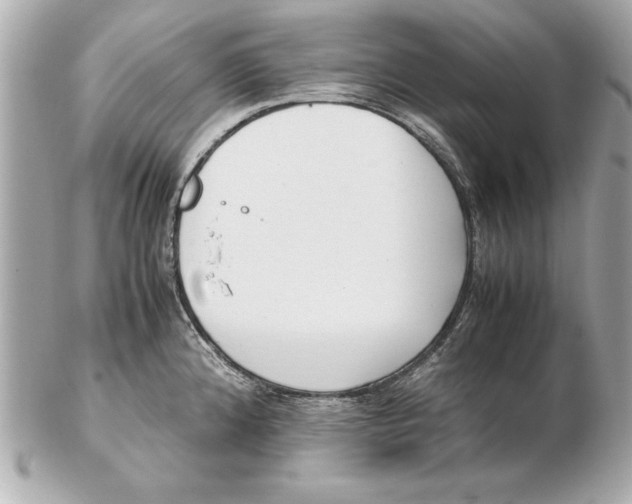 X0000102471192200808291557