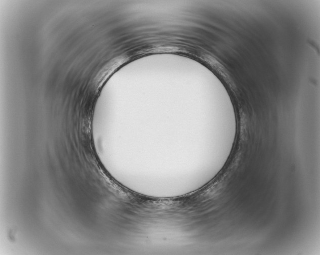 X0000102471193200808291557