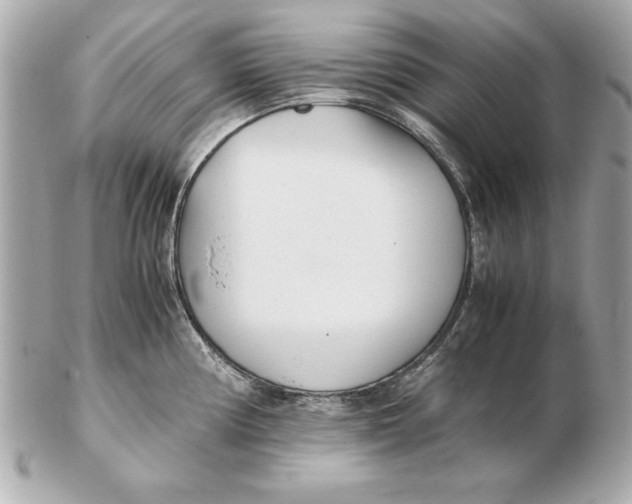 X0000102471194200808291557
