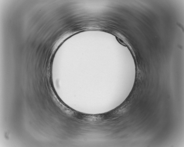 X0000102471195200808291557
