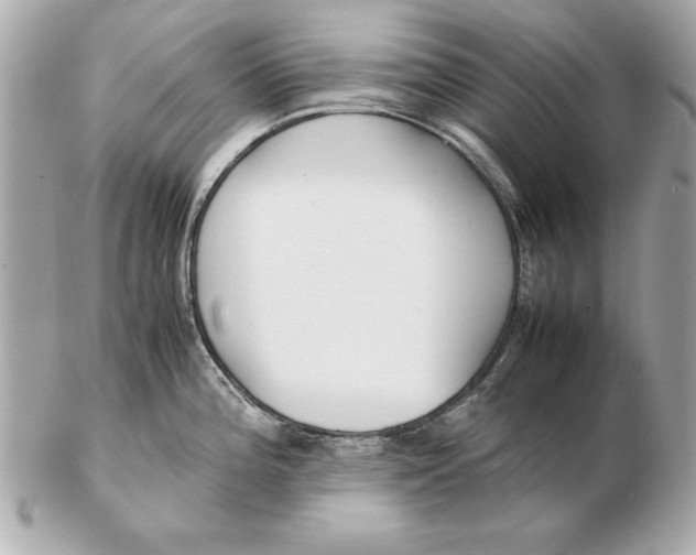 X0000102471196200808291557