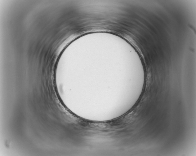 X0000102471197200808291557