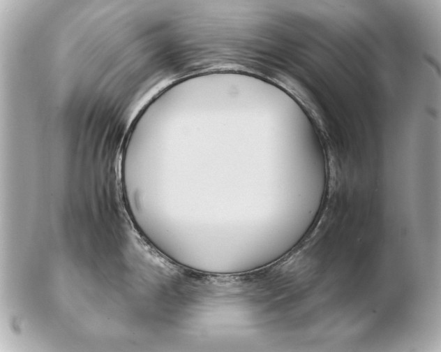 X0000102471198200808291557